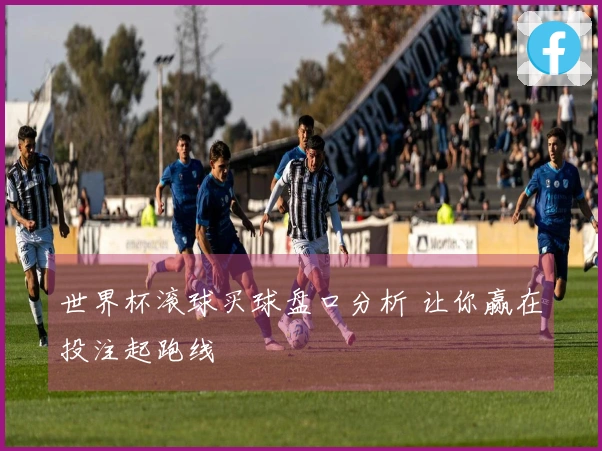世界杯滚球买球盘口分析 让你赢在投注起跑线
