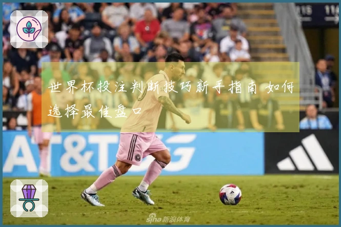 世界杯投注判断技巧新手指南 如何选择最佳盘口