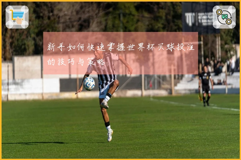 新手如何快速掌握世界杯买球投注的技巧与策略