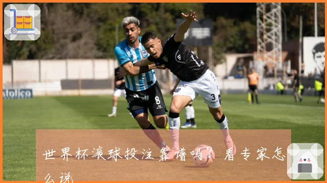 世界杯滚球投注靠谱吗？看专家怎么说