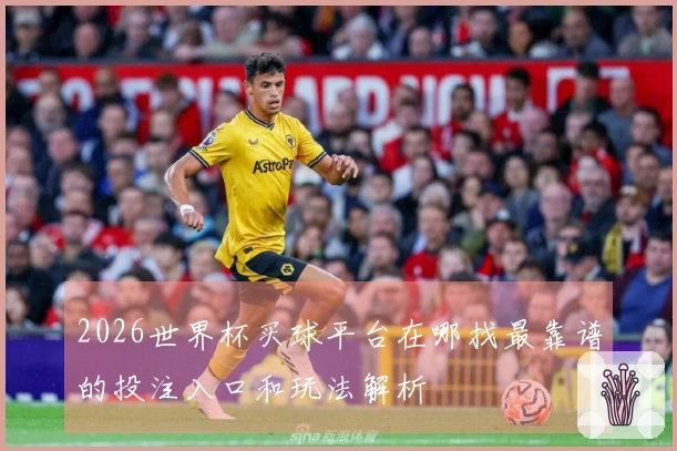 2026世界杯买球平台在哪找最靠谱的投注入口和玩法解析