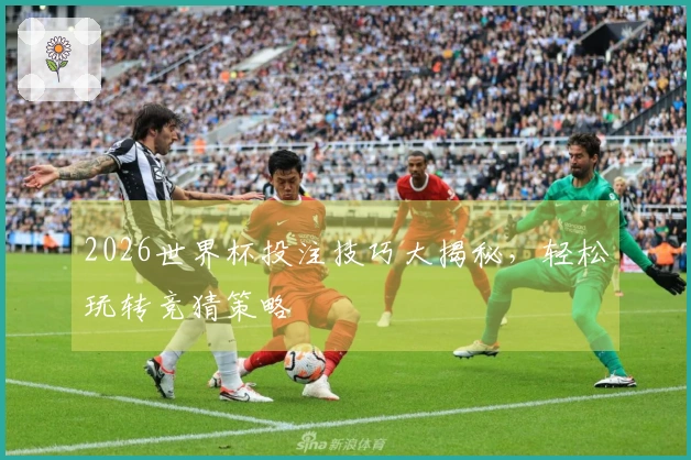 2026世界杯投注技巧大揭秘，轻松玩转竞猜策略