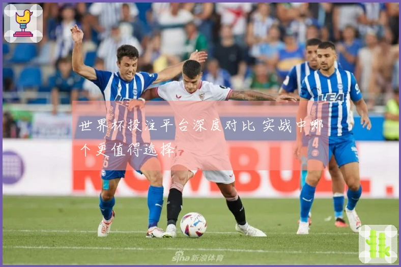 世界杯投注平台深度对比 实战中哪个更值得选择