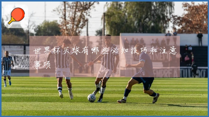 世界杯买球有哪些必知技巧和注意事项