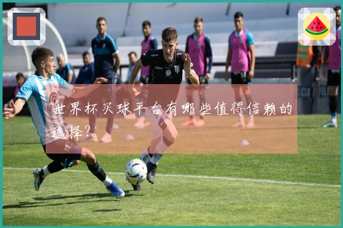 世界杯买球平台有哪些值得信赖的选择？