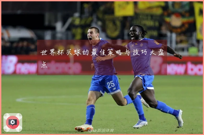 世界杯买球的最佳策略与技巧大盘点