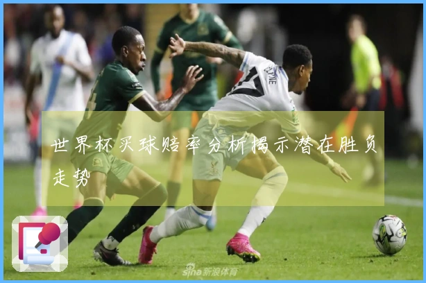 世界杯买球赔率分析揭示潜在胜负走势