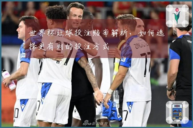 世界杯让球投注赔率解析，如何选择更有利的投注方式