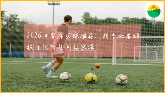 2026世界杯买球推荐：新手必看的投注技巧与网站选择