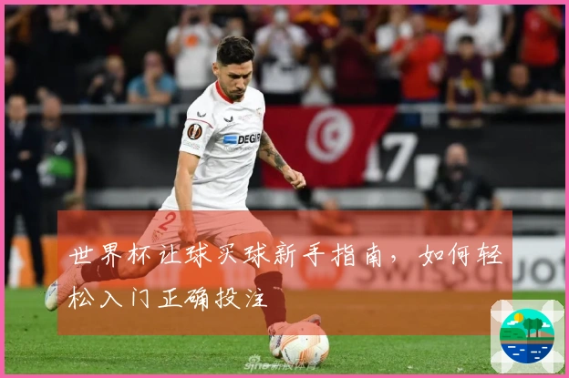 世界杯让球买球新手指南，如何轻松入门正确投注