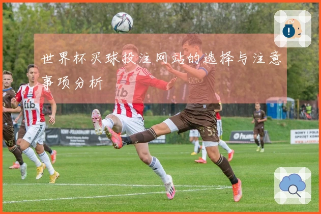 世界杯买球投注网站的选择与注意事项分析