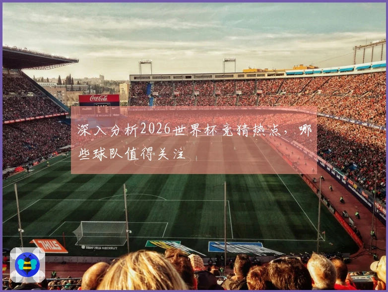 深入分析2026世界杯竞猜热点，哪些球队值得关注