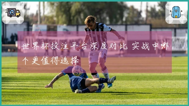 世界杯投注平台深度对比 实战中哪个更值得选择