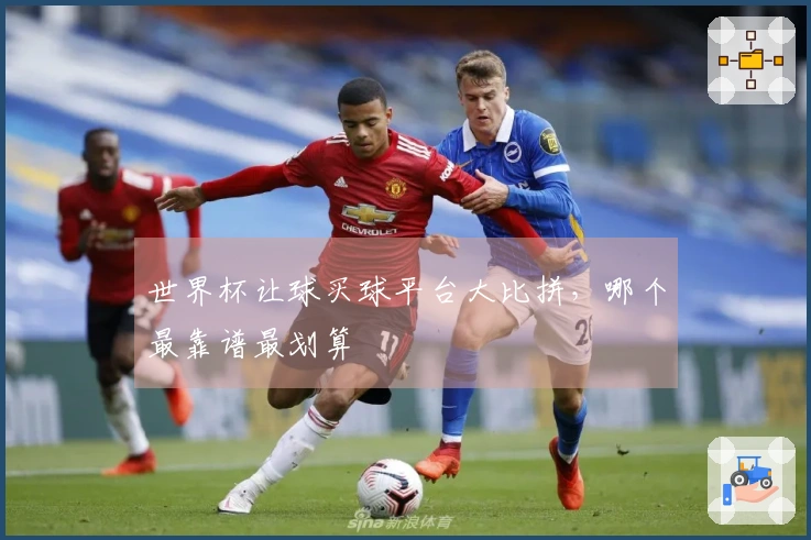 世界杯让球买球平台大比拼，哪个最靠谱最划算